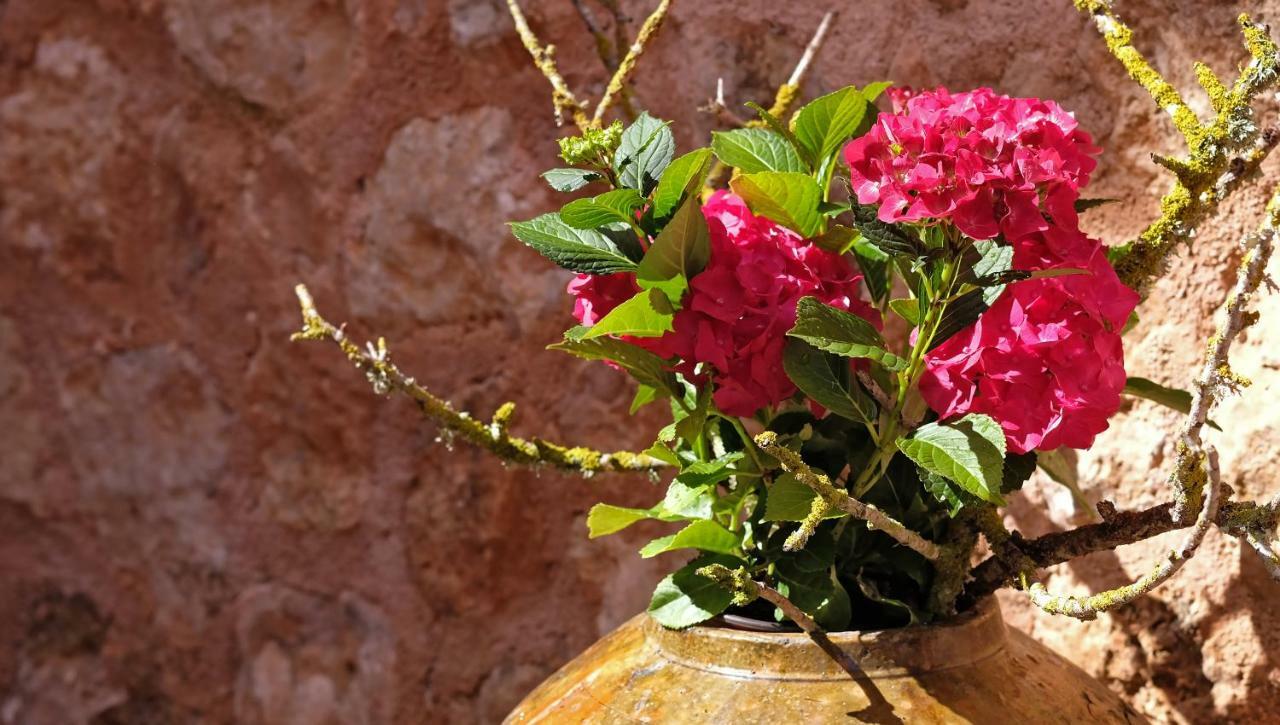 Villa Sampoli - Agroturismo Son Sampoli - Adults Only Llucmajor  Dış mekan fotoğraf